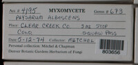 Image Associated With the Occurence